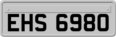 EHS6980