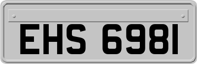 EHS6981