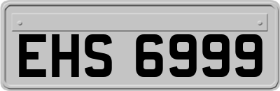 EHS6999
