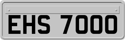 EHS7000
