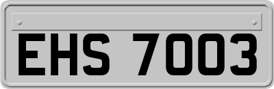 EHS7003