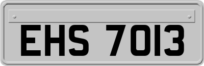 EHS7013