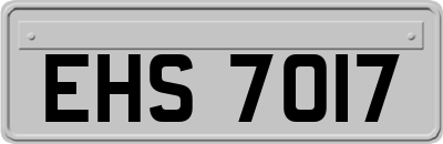 EHS7017