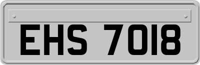 EHS7018