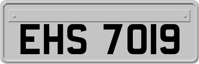 EHS7019