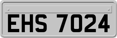 EHS7024