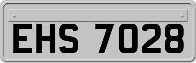 EHS7028