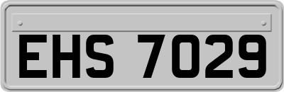 EHS7029