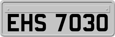 EHS7030