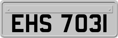 EHS7031
