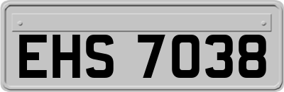 EHS7038