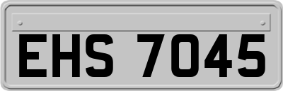 EHS7045