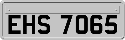 EHS7065