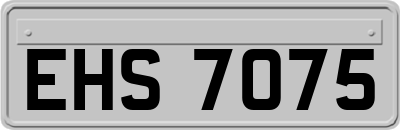 EHS7075