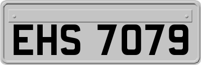 EHS7079