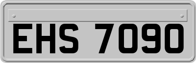 EHS7090