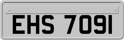 EHS7091