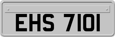 EHS7101