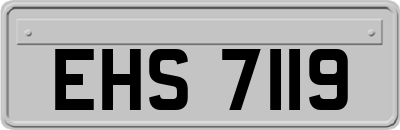 EHS7119