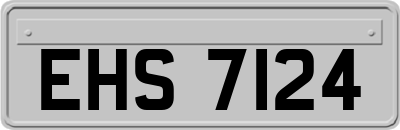 EHS7124