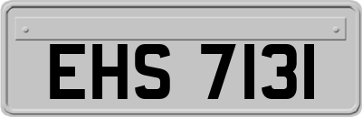 EHS7131