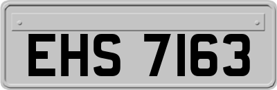 EHS7163