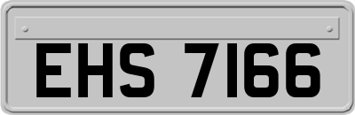 EHS7166