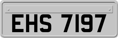 EHS7197