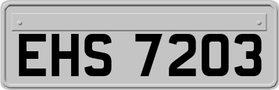 EHS7203