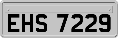 EHS7229
