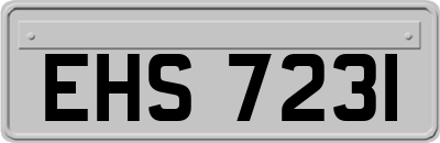 EHS7231