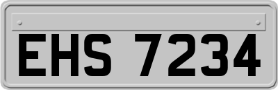 EHS7234