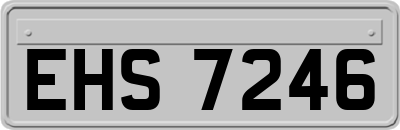 EHS7246