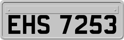 EHS7253