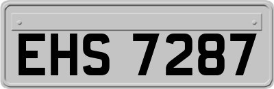 EHS7287