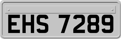 EHS7289