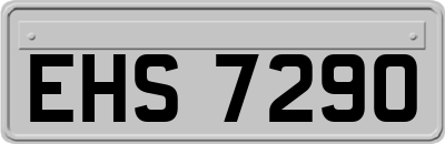EHS7290
