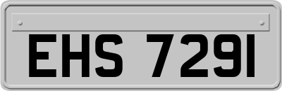 EHS7291