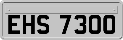 EHS7300