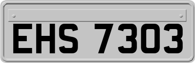 EHS7303