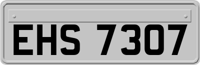 EHS7307