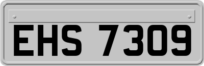 EHS7309