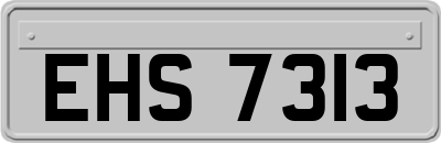 EHS7313