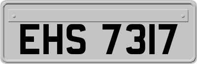 EHS7317