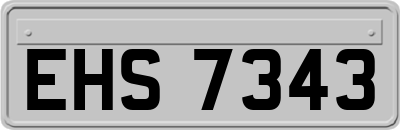 EHS7343