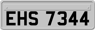 EHS7344