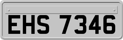 EHS7346