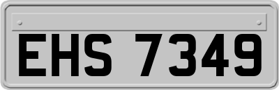 EHS7349