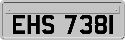 EHS7381