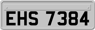 EHS7384